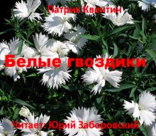 Аудиокнига Белые гвоздики