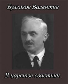 Аудиокнига В царстве свастики