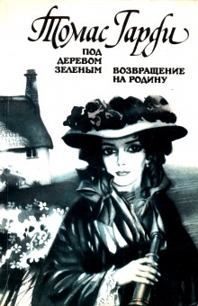 Аудиокнига Возвращение на родину