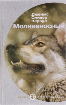 Аудиокнига Молниеносный