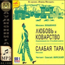 Аудиокнига Любовь и Коварство, Слабая тара