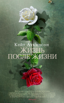 Аудиокнига Жизнь после жизни