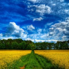 Аудиокнига Любимый уголок природы. Сеанс релаксации