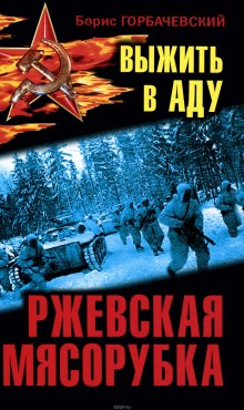 Аудиокнига Ржевская мясорубка. Выжить в аду
