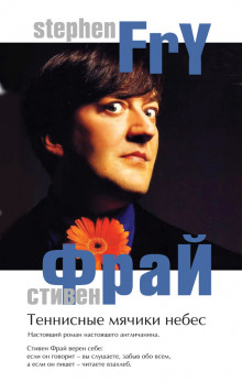 Аудиокнига Теннисные мячики небес