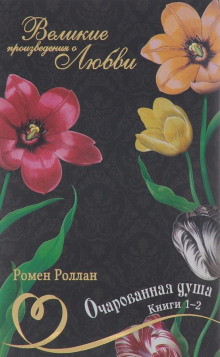Аудиокнига Очарованная душа 4