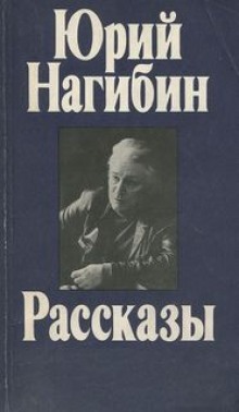 Аудиокнига Случайный пришелец
