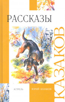 Аудиокнига Рассказы