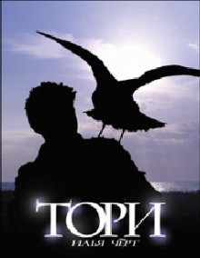 Аудиокнига Тори