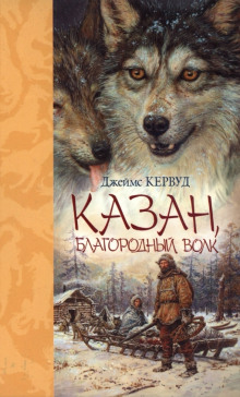 Аудиокнига Казан